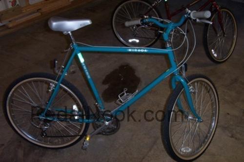 Schwinn Mirada Mens fiche technique et avis